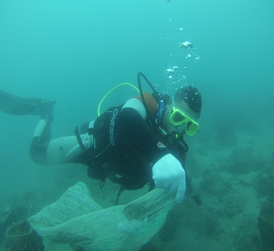 Buzos de la DCC realizan jornada de limpieza en Playa Blanca