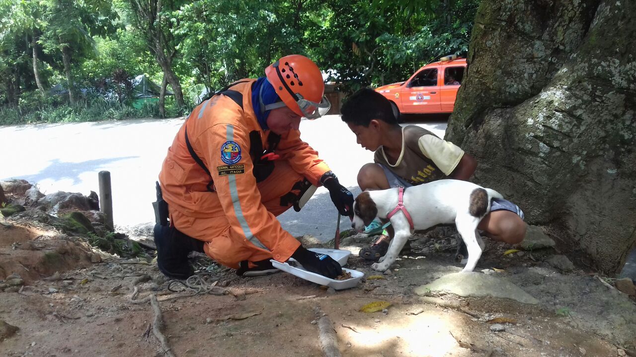 Defensa Civil Colombiana realiza rescate animal en HidroItuango