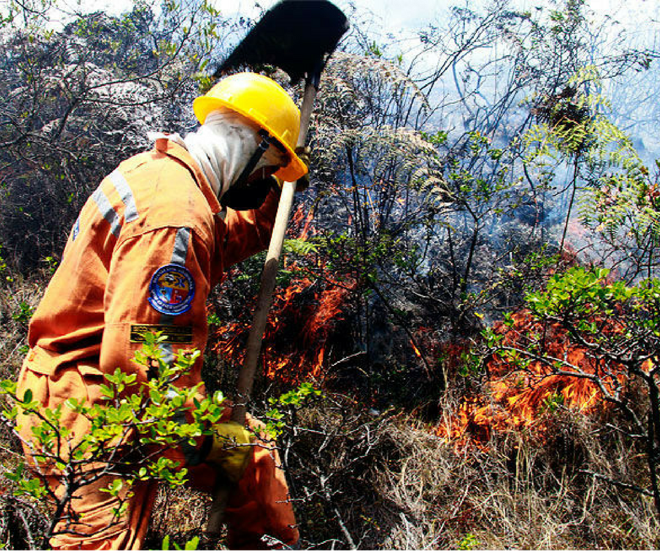 Alerta por incendios forestales en zonas rurales del Atlántico
