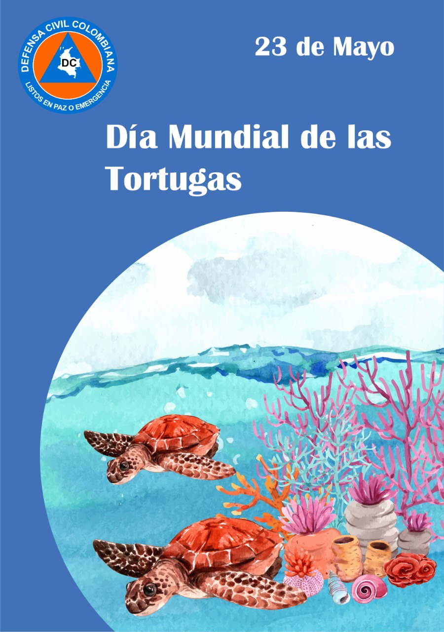 CONMEMORAMOS EL DÍA MUNDIAL DE LAS TORTUGAS CON NUESTRO PROYECTO DE TORTUGAS TERECAY